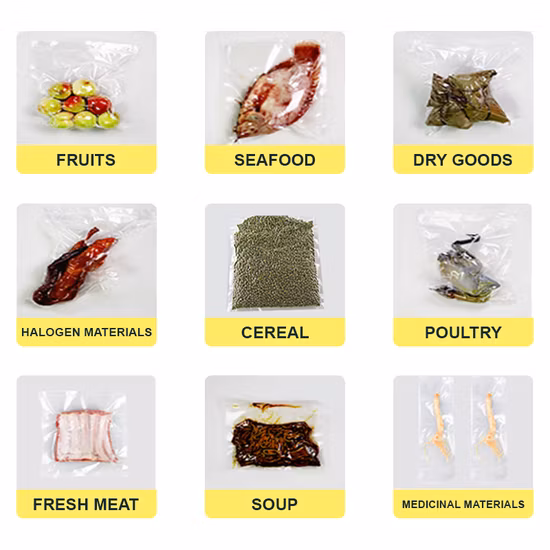 Vacuum Sealer/Single Chamber Vacuum Sealing Machine /Vegetable vacuum Packing Machine