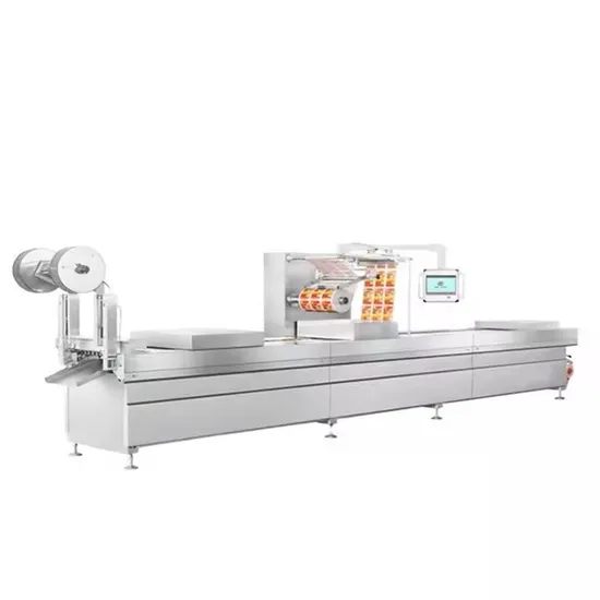 Commercial Vacuum Sealer for Food Packaging High Quality Plastic Bags
