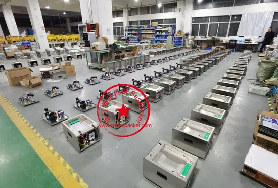 Automatic Table Top Economy Food Hamber Vacuum Sealer Machine Vacuum Sealing Packaging Packing Machine