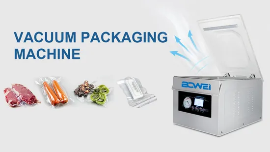 Single Chamber Vacuum Pack Machine Small Vacuum Machine for Food Packaging Table Top Vacuum Packing Machine 