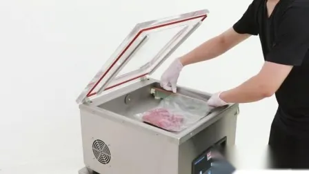 Industrial Household Food Meat Fruit Table Top Vacuum Packing Machine 