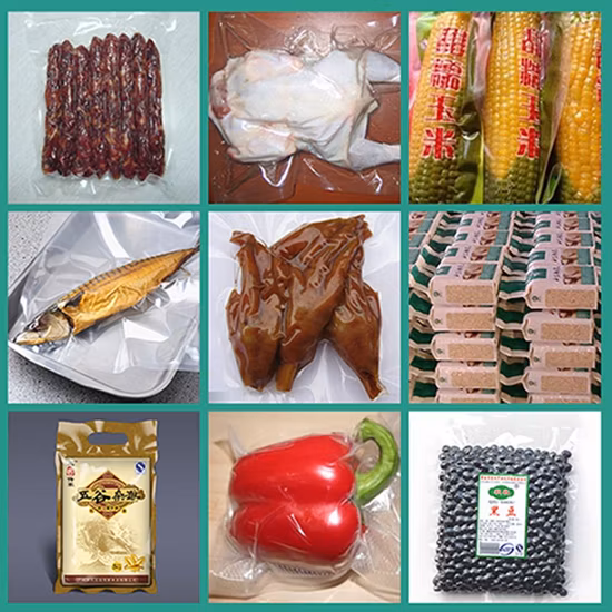 Table Top Automatic Food Vacuum Packing Machine Dz300